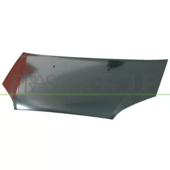 Capot-moteur PRASCO
