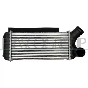 Intercooler, échangeur PRASCO FD719N002