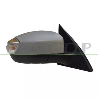 Rétroviseur extérieur PRASCO FD7307353
