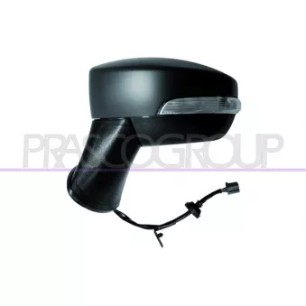 Rétroviseur extérieur PRASCO FD7507324P
