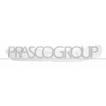 Support, pare-chocs arrière droit PRASCO FD8041063