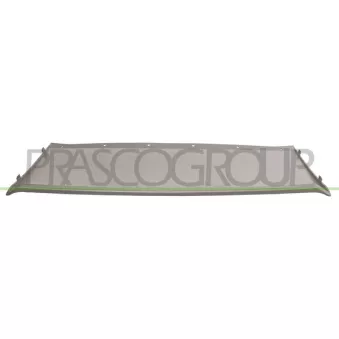 Baguette et bande protectrice, pare-chocs PRASCO FD8041812