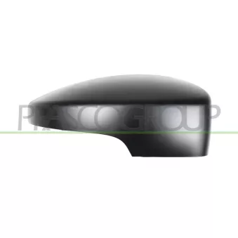 Revêtement, rétroviseur extérieur PRASCO FD8047403