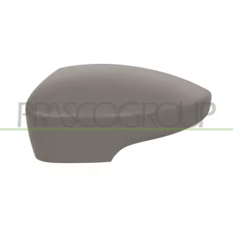 Revêtement, rétroviseur extérieur PRASCO FD8047414