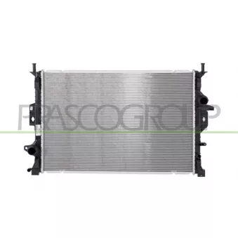 Radiateur, refroidissement du moteur PRASCO FD804R001