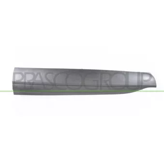 Baguette et bande protectrice, porte avant droit PRASCO FD8081403