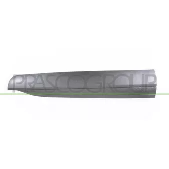 Baguette et bande protectrice, porte avant gauche PRASCO FD8081404