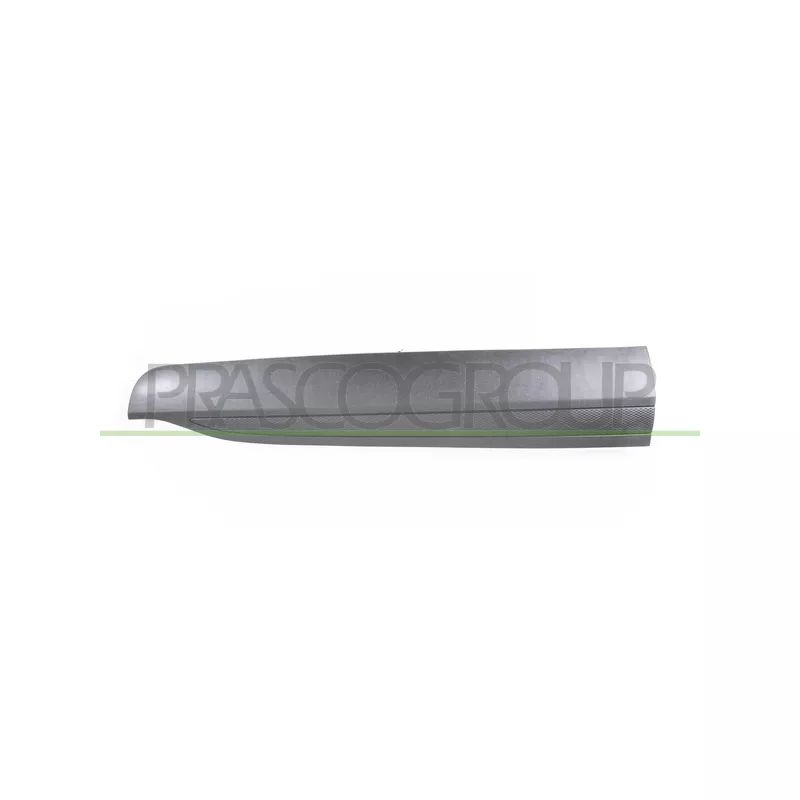 Baguette et bande protectrice, porte avant gauche PRASCO FD8081404