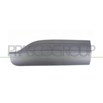 Baguette et bande protectrice, porte arrière droit PRASCO FD8081453