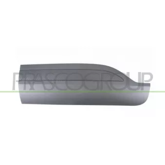 Baguette et bande protectrice, porte arrière gauche PRASCO FD8081454