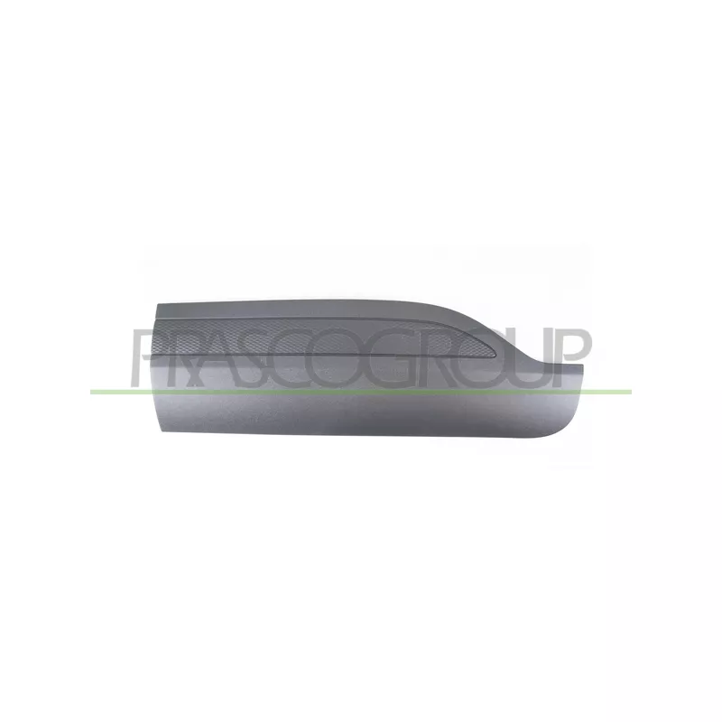 Baguette et bande protectrice, porte arrière gauche PRASCO FD8081454