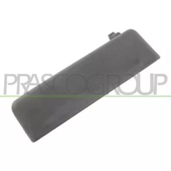 Poignée extérieure de porte avant droit PRASCO FD9048001