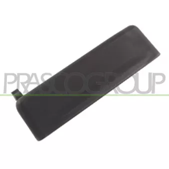 Poignée extérieure de porte avant gauche PRASCO FD9048002