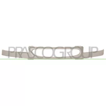Grille de radiateur PRASCO FD9082001