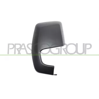 Revêtement, rétroviseur extérieur PRASCO FD9147403