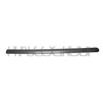 Baguette et bande protectrice, porte avant droit PRASCO FD9301403