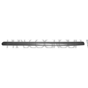 Baguette et bande protectrice, porte avant gauche PRASCO FD9301404