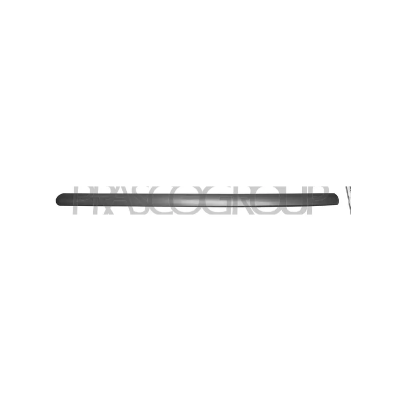 Baguette et bande protectrice, porte avant gauche PRASCO FD9301404