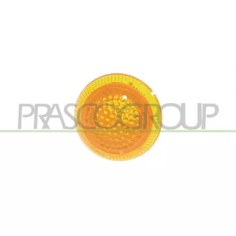 Feu clignotant PRASCO FD9304039