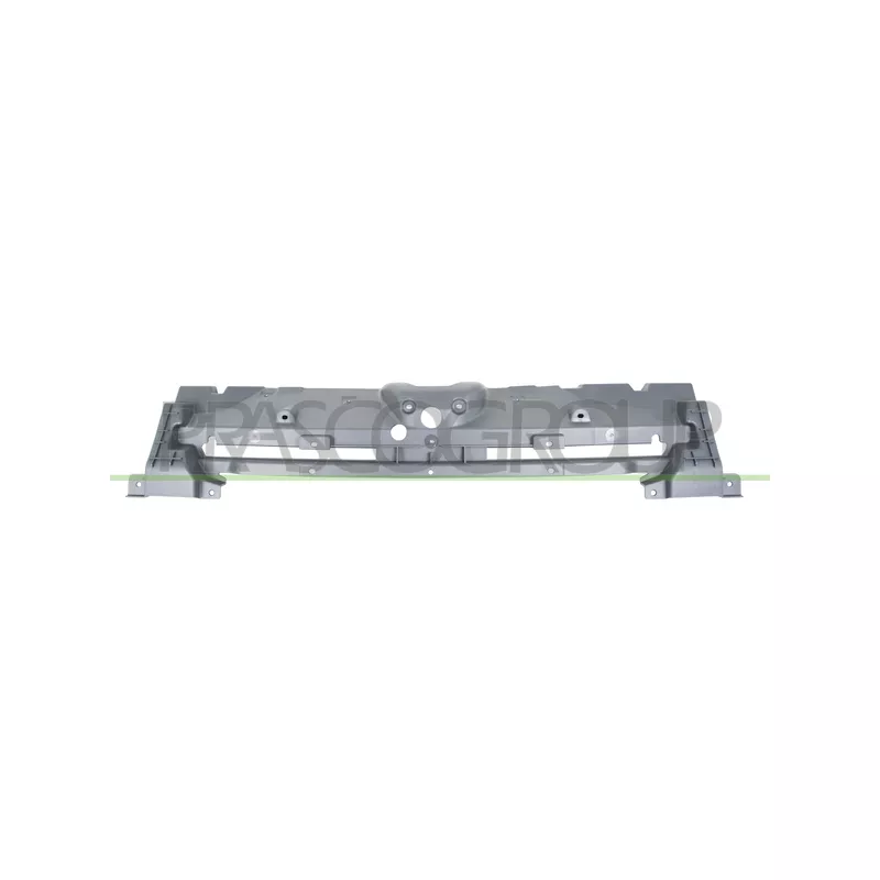 Grille de radiateur PRASCO FD9322011