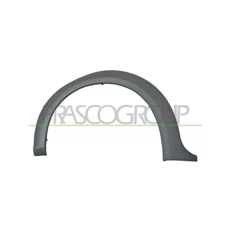 Baguette et bande protectrice, aile avant droit PRASCO FD9341581