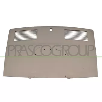 Capot-moteur PRASCO
