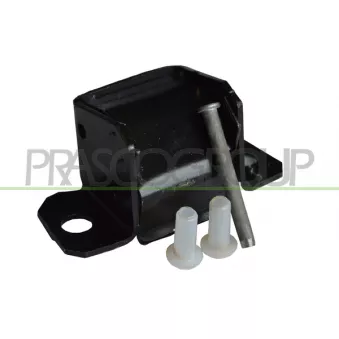 Charnière de porte PRASCO