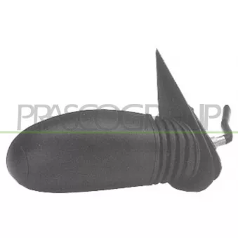 Rétroviseur extérieur PRASCO FT0197123