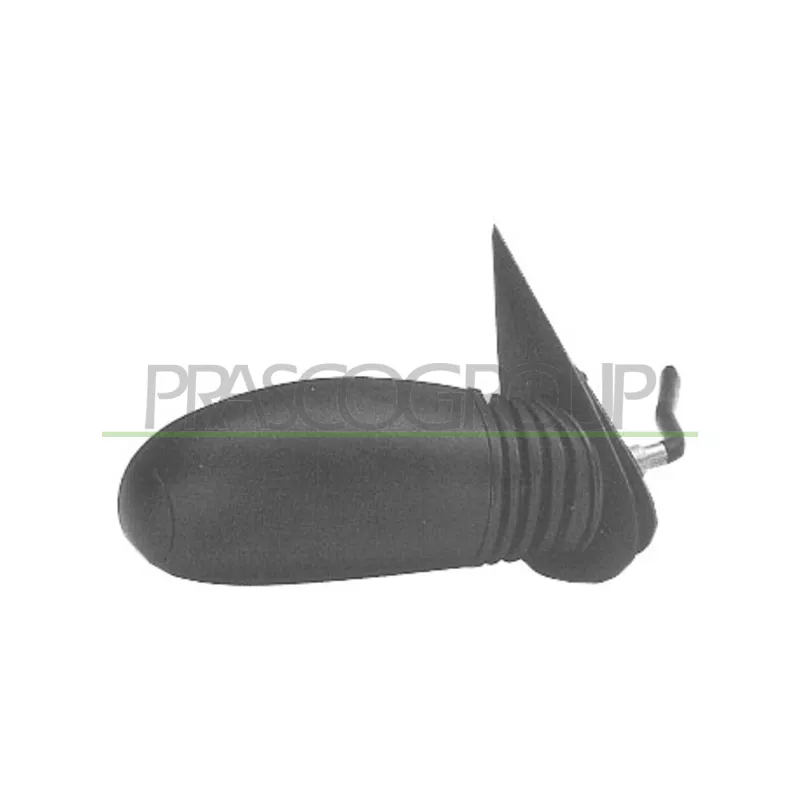 Rétroviseur extérieur PRASCO FT0197123