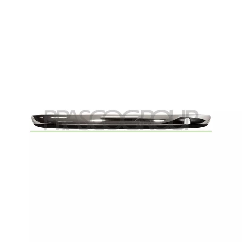 Baguette et bande protectrice, pare-chocs PRASCO FT0301250