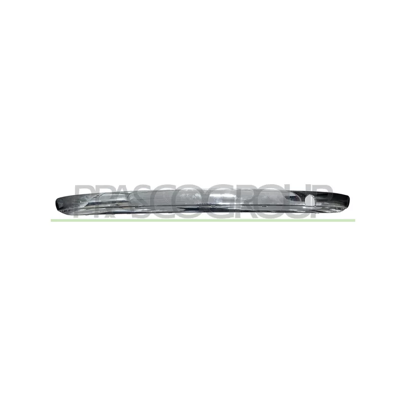 Baguette et bande protectrice, pare-chocs PRASCO FT0301255