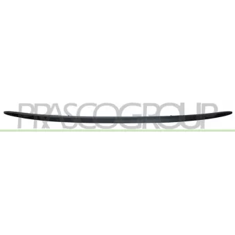 Spoiler PRASCO FT0301851