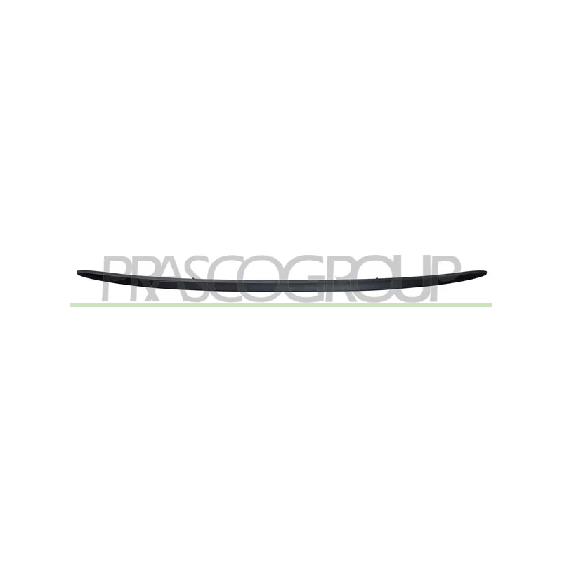 Spoiler PRASCO FT0301851