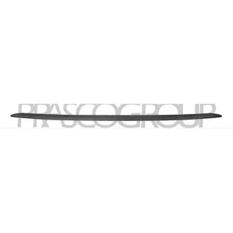 Baguette et bande protectrice, pare-chocs PRASCO FT0301861