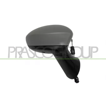 Rétroviseur extérieur PRASCO FT0307103