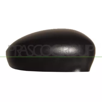 Revêtement, rétroviseur extérieur PRASCO FT0307403