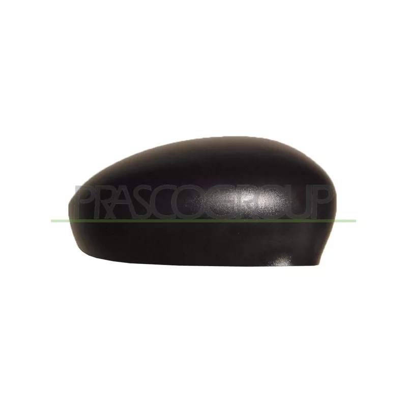 Revêtement, rétroviseur extérieur PRASCO FT0307403