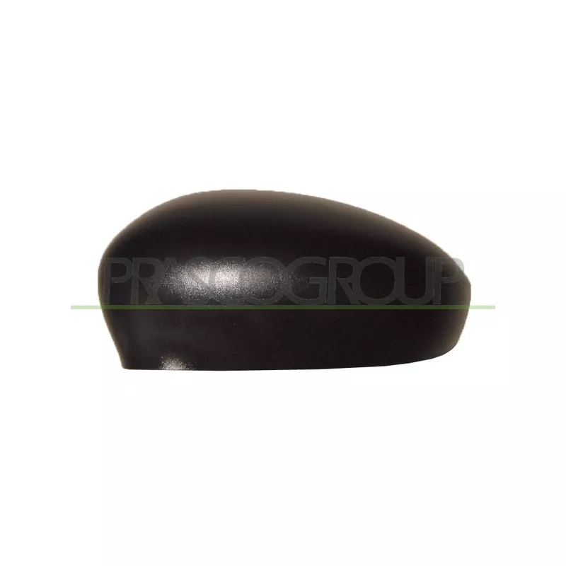 Revêtement, rétroviseur extérieur PRASCO FT0307404