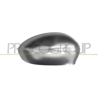Revêtement, rétroviseur extérieur PRASCO FT0307415