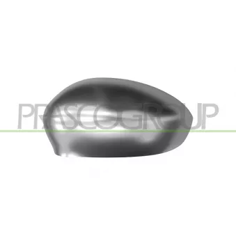 Revêtement, rétroviseur extérieur PRASCO FT0307416