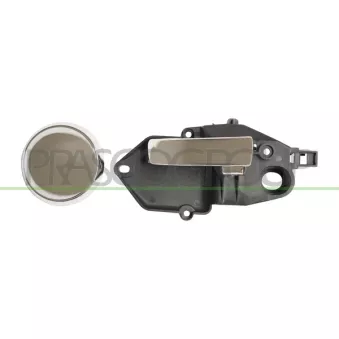Poignet de porte, équipment intérieur avant gauche PRASCO