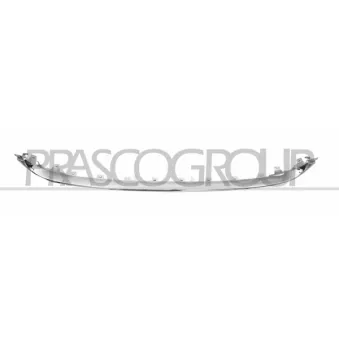 Baguette et bande protectrice, grille de radiateur PRASCO FT0321245