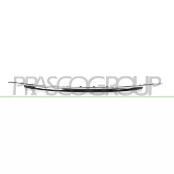 Baguette et bande protectrice, pare-chocs PRASCO FT0321257