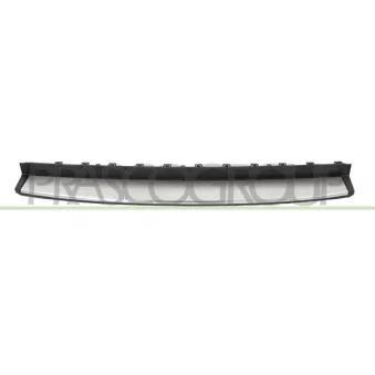 Baguette et bande protectrice, pare-chocs PRASCO FT0401255