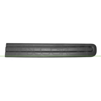 Baguette et bande protectrice, porte avant droit PRASCO FT0401403