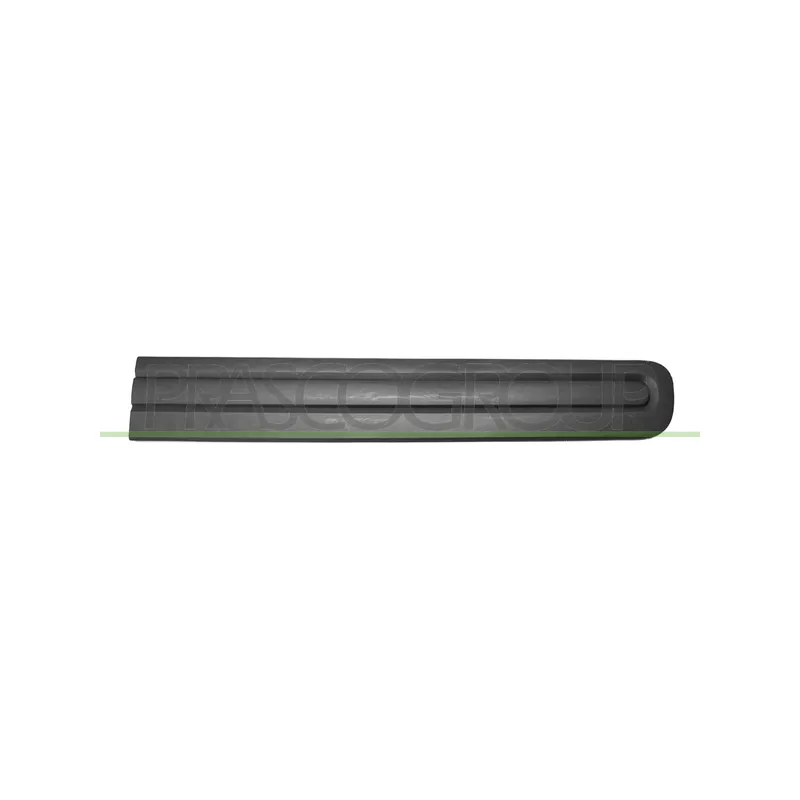 Baguette et bande protectrice, porte avant droit PRASCO FT0401403