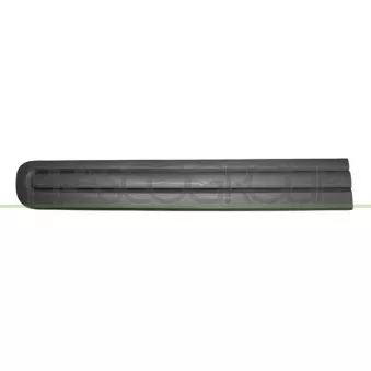Baguette et bande protectrice, porte avant gauche PRASCO FT0401404