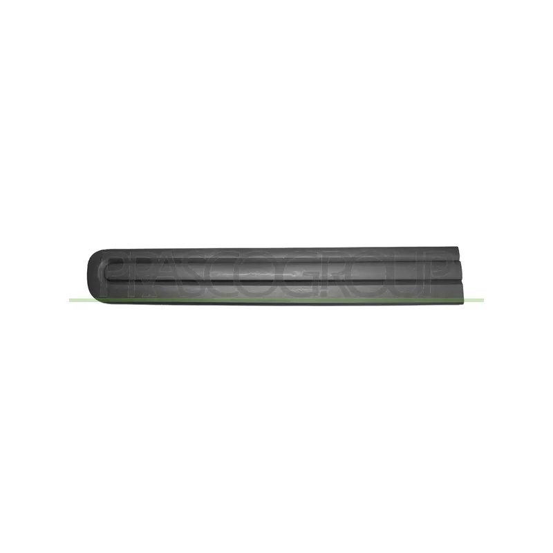 Baguette et bande protectrice, porte avant gauche PRASCO FT0401404