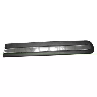 Baguette et bande protectrice, porte avant gauche PRASCO FT0401414