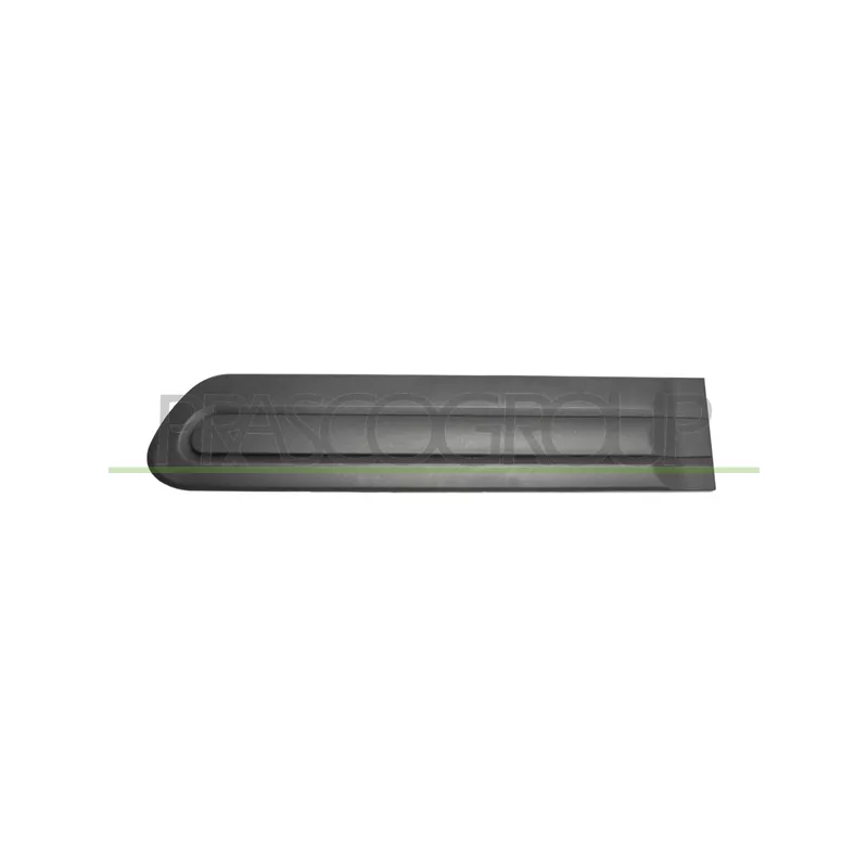 Baguette et bande protectrice, porte arrière gauche PRASCO FT0401454